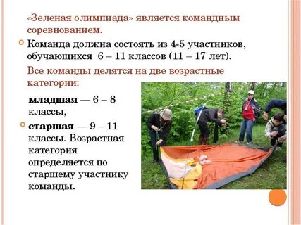 Какая система не является командной защитой