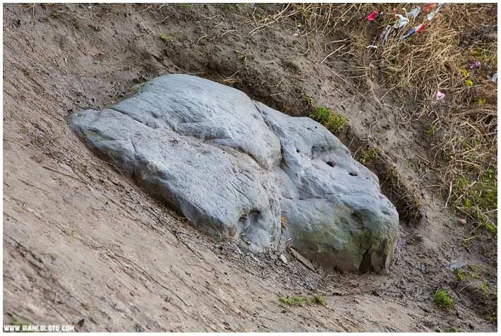 Алар карис президент эстонии. Длинная очередь. Баш и башиха. Каменный век ученые подразделяют на палеолит мезолит и неолит. Очередь в турагентство.