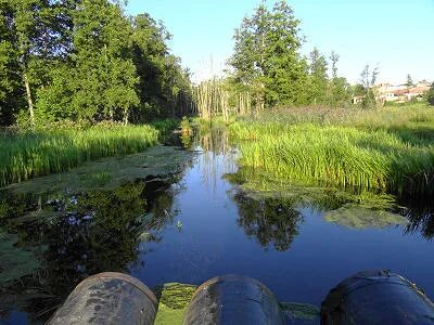Речка осинка