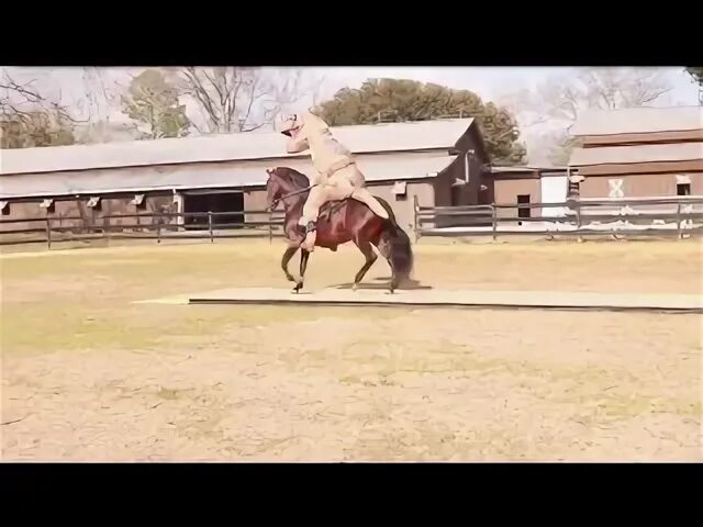 Лошадь здоровается. Сношение верхом на лошади. Лошадь на аву. Игра в лошадки картинка. Игра принцесса и лошадь.