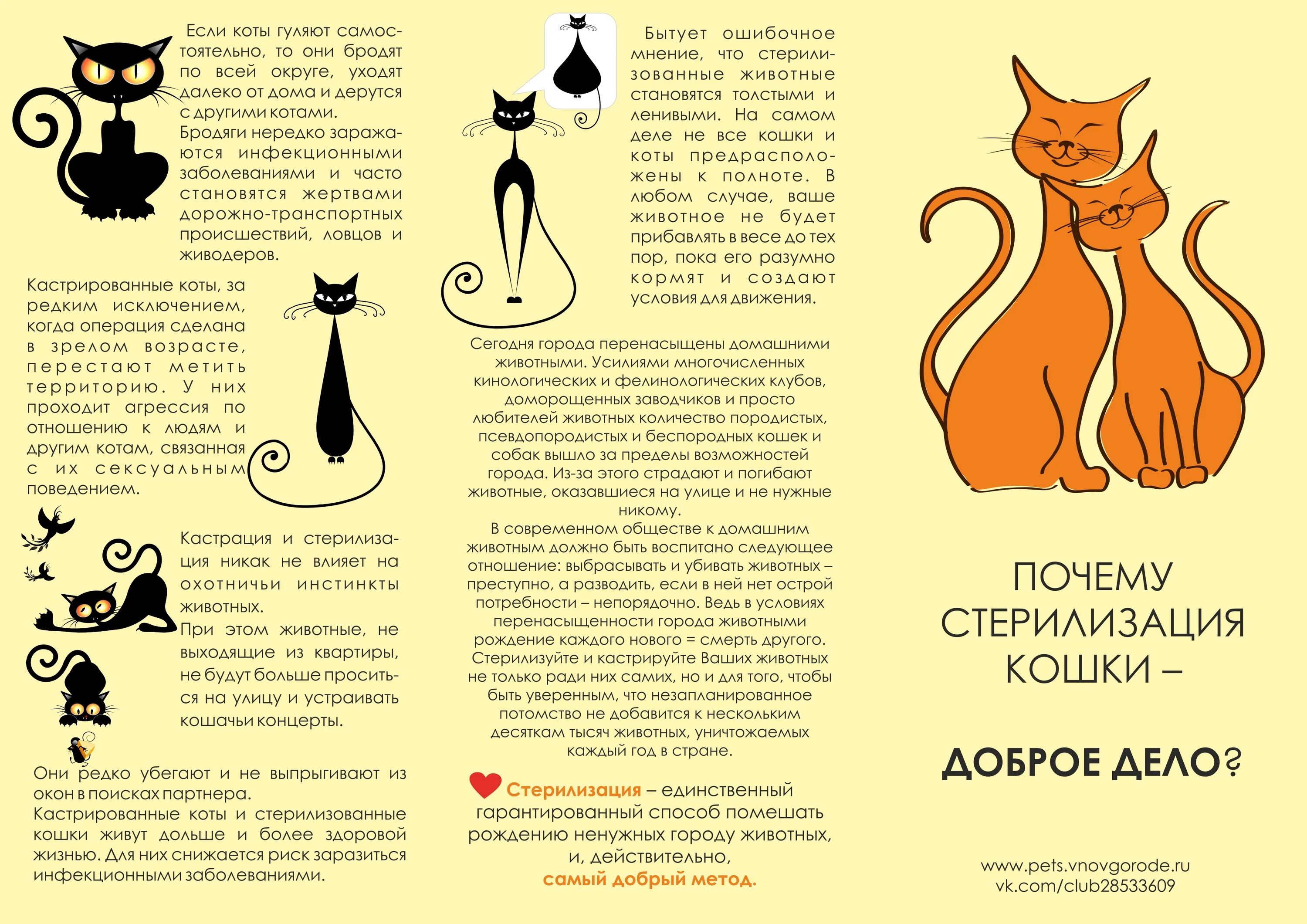 Кастрация и стерилизация кошек и собак. Стерилизовать банки в микроволновке. Стерилизовать банки. Почему нужно стерилизовать животных. Инфографика кошки и собаки.