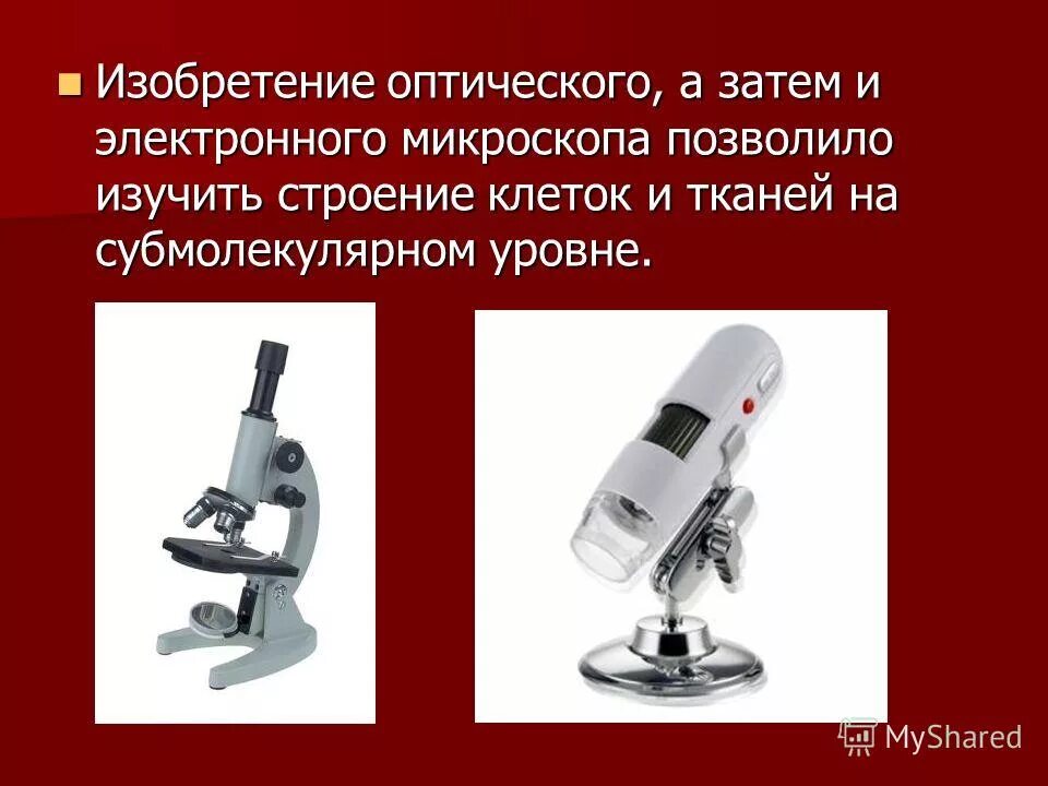 Электронный микроскоп 1930. Эрнст руска электронный микроскоп. Первый электронный микроскоп изобрел. Сканирующий электронный микроскоп 1930. Зворыкин первый электронный микроскоп.