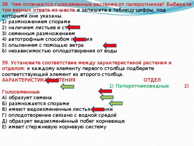 Отличие строения голосеменных от папоротников. Характеристика папоротниковидных Голосеменные. Голосемянные растения в отличие от папоротников. Голосеменные отличаются от папоротниковидных.