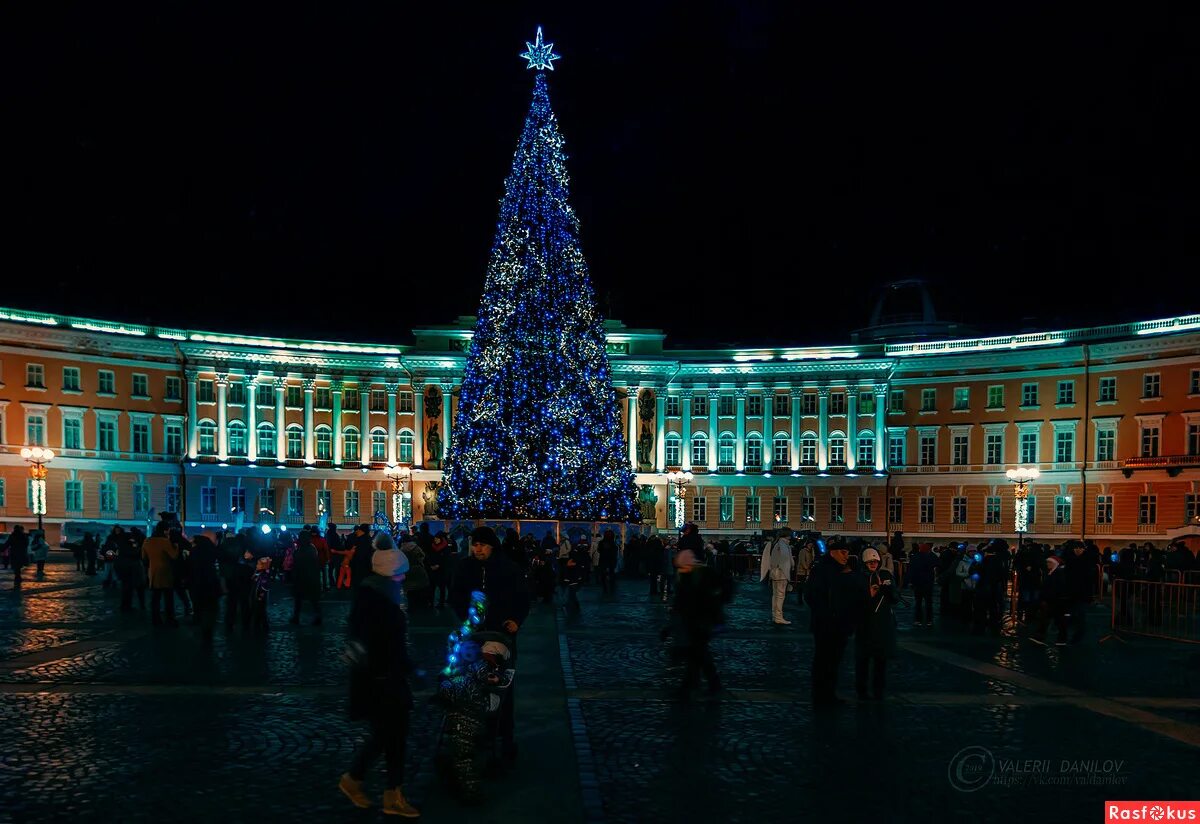 дворцовая площадь елка. елка на дворцовой площади 2020. елки отдых спб. елка в питере 2022 на дворцовой площади. ёлка на дворцовой площади в санкт-петербурге 2020.