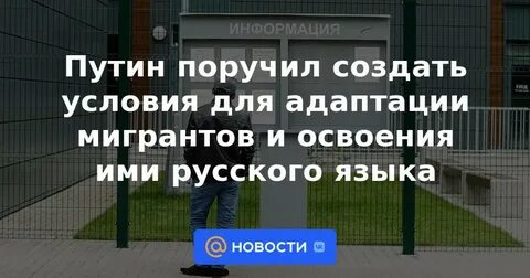 Будет ли амнистия в 2024 году