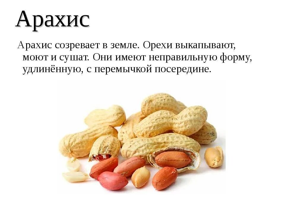 Может ли арахис. Польза арахиса для организма. Арахис чем полезен для организма и чем вреден. Арахис полезные жиры. Чем полезен арахис для организма.