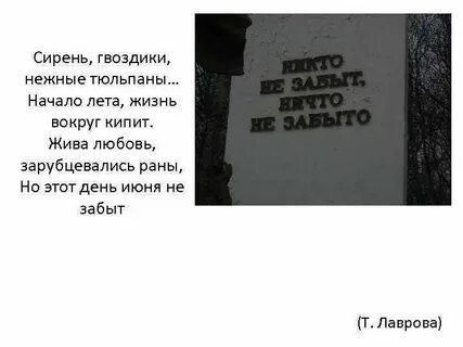 Жизнь кипит