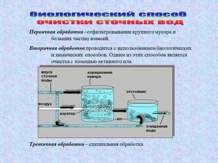 Прием стоков. Этапы биологической очистки сточных вод схема. Биологический метод очистки сточных вод схема. Схема очистки воды биологический метод очистки. Биологическая фильтрация очистных сооружений.