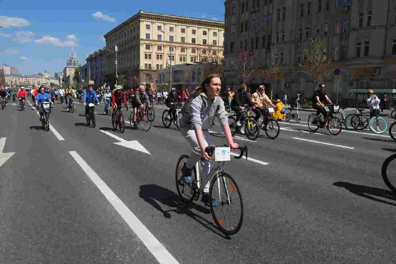 Дмитров березовая роща афиша. Какие завтра мероприятия в городе. Московский марафон. Вднх праздник. Мероприятия ко дню города.