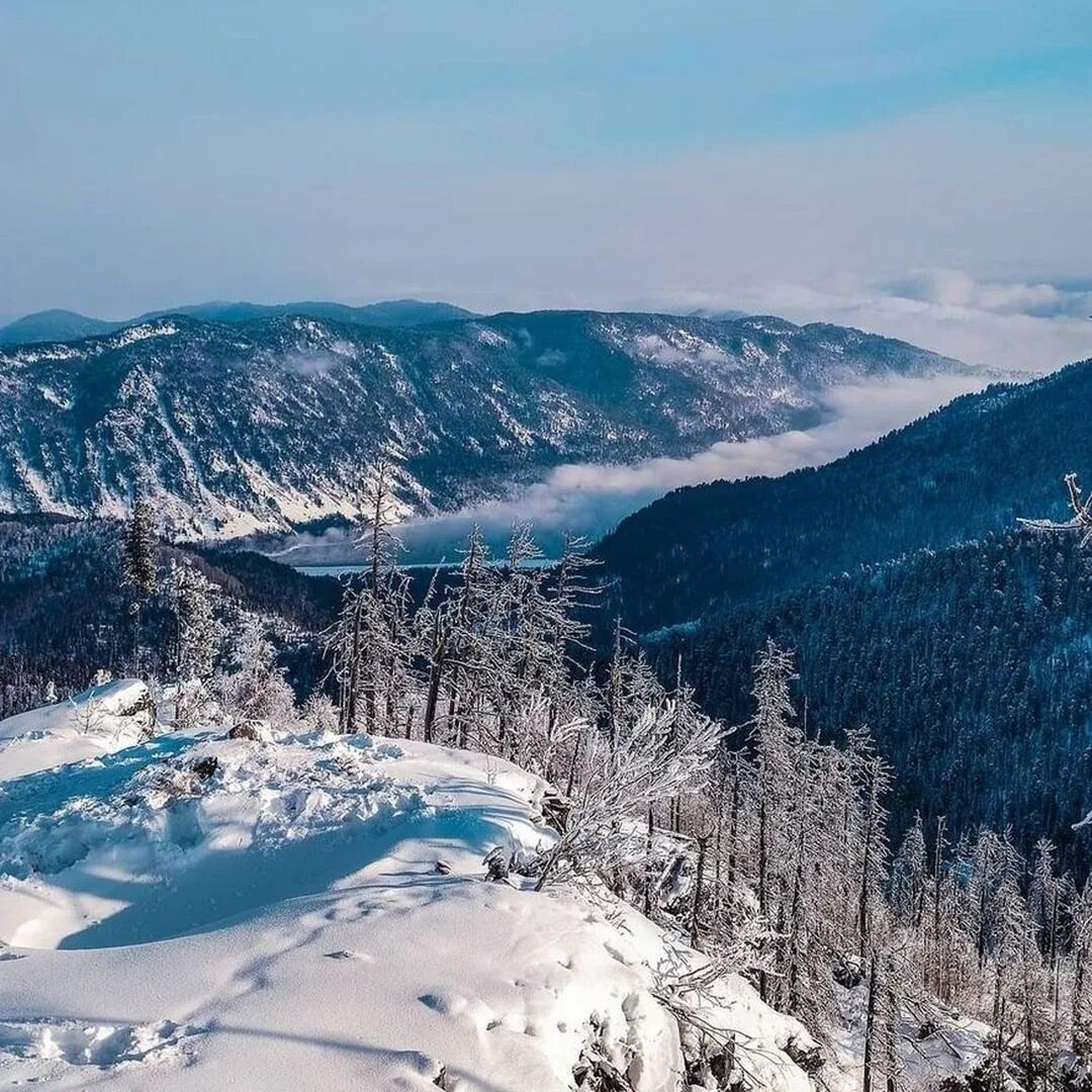 Телецкий горнолыжный комплекс. Телецкое Алтай горнолыжный. Горнолыжный курорт на Телецком озере. Гора Кокуя Алтай. Гора Кокуя на Телецком.