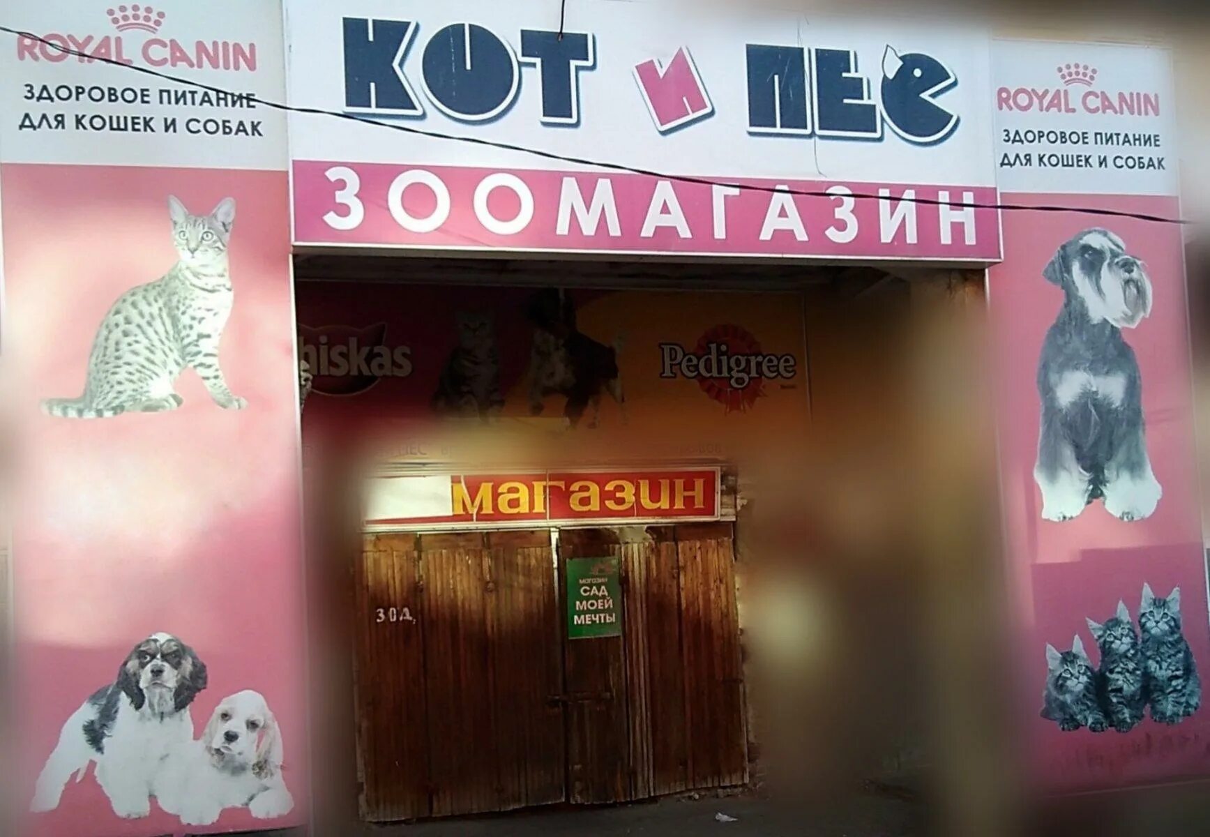 Магазин кот и пес. Кот и пес магазин. кот и пес магазин зоотоваров чебоксары. кот и пес тамбов. магазин кот и пес георгиевск.