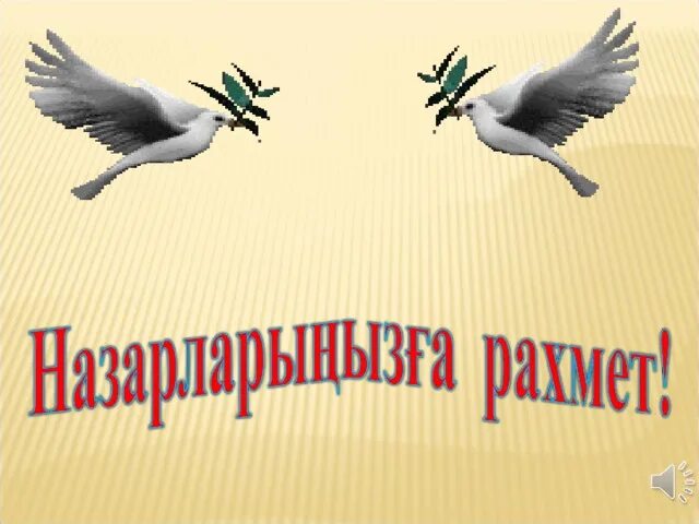 Құстар мен жәндіктер. Назарларыңызға рақмет фон для презентации.