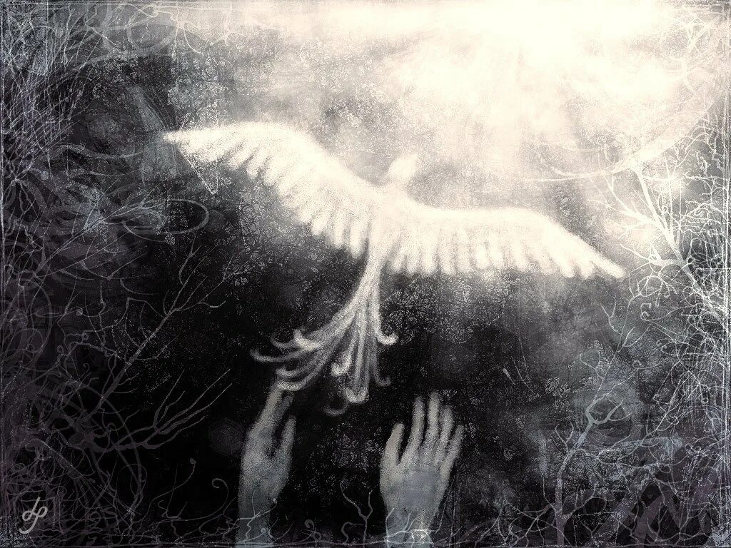Душа гибнет. Птица души. Птицы небо душа. Душа человека это птица. Белая душа.