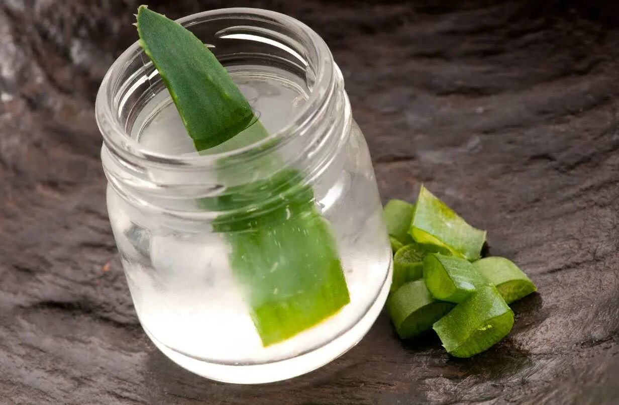 Aloe Vera Juice. Алоэ гарипензис. Сок столетника