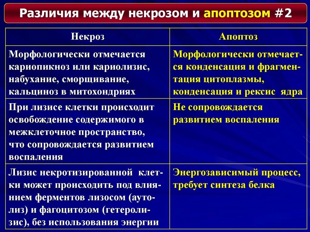 Различия некрозов. Различия некрозов. Отличия некроща отапоптоза. Отличие апоптоза от некроза таблица. Сравнительная характеристика некроза и апоптоза.