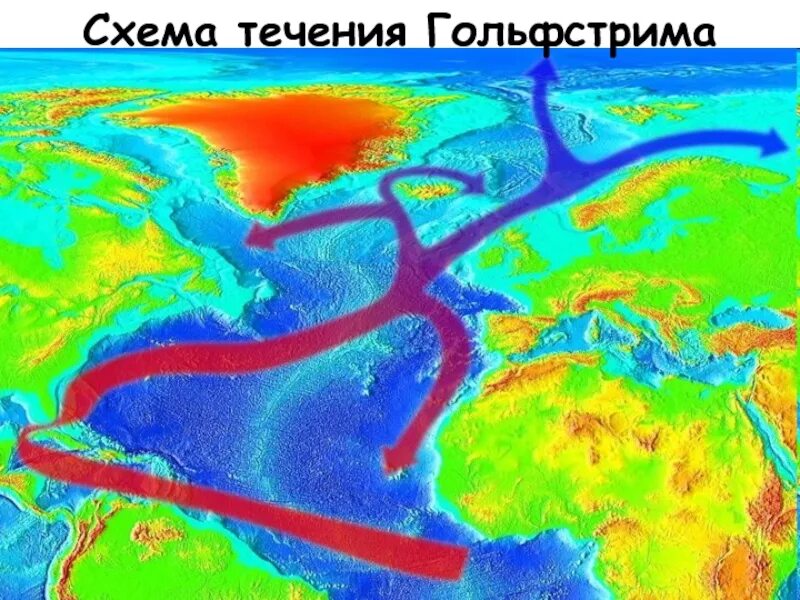 Прочитайте текст 2 гольфстрима