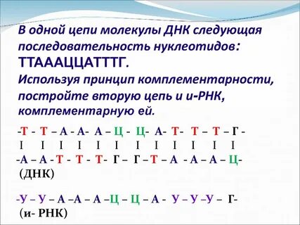 Триплеты в матрице