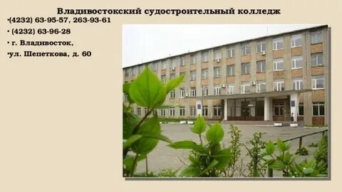 Вск владивосток колледж