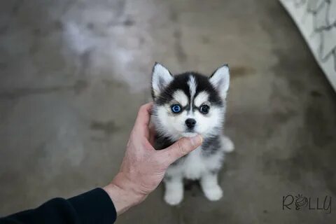Помски