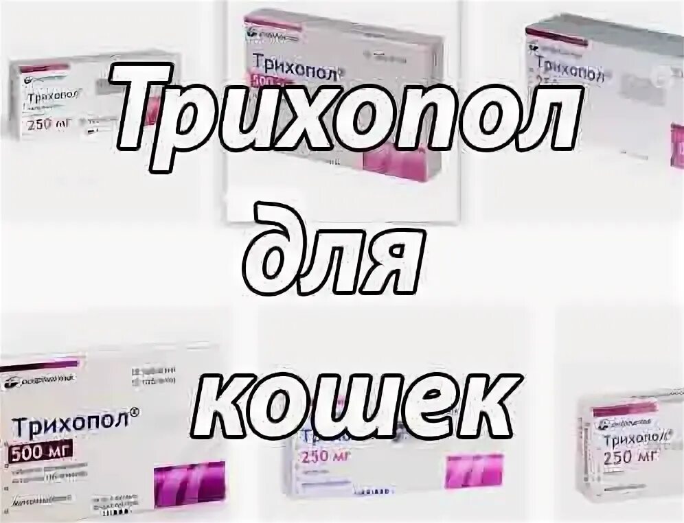 Трихопол кошке дозировка. Трихопол. трихопол для животных. трихопол дозировка для собак.
