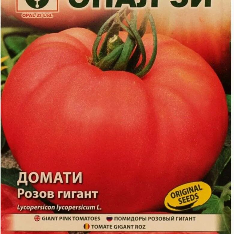 Томат розовый гигант описание сорта фото. Семена томат розовый гигант. семена помидор розовый гигант. томат розовый великан. сорт томата розовый гигант.