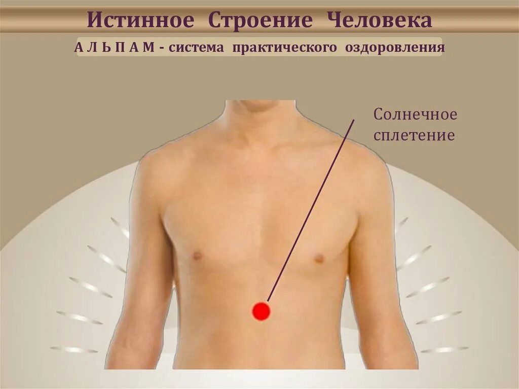 Где находится солнечное сплетение у человека фото
