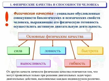 Определение и понятие физических качеств