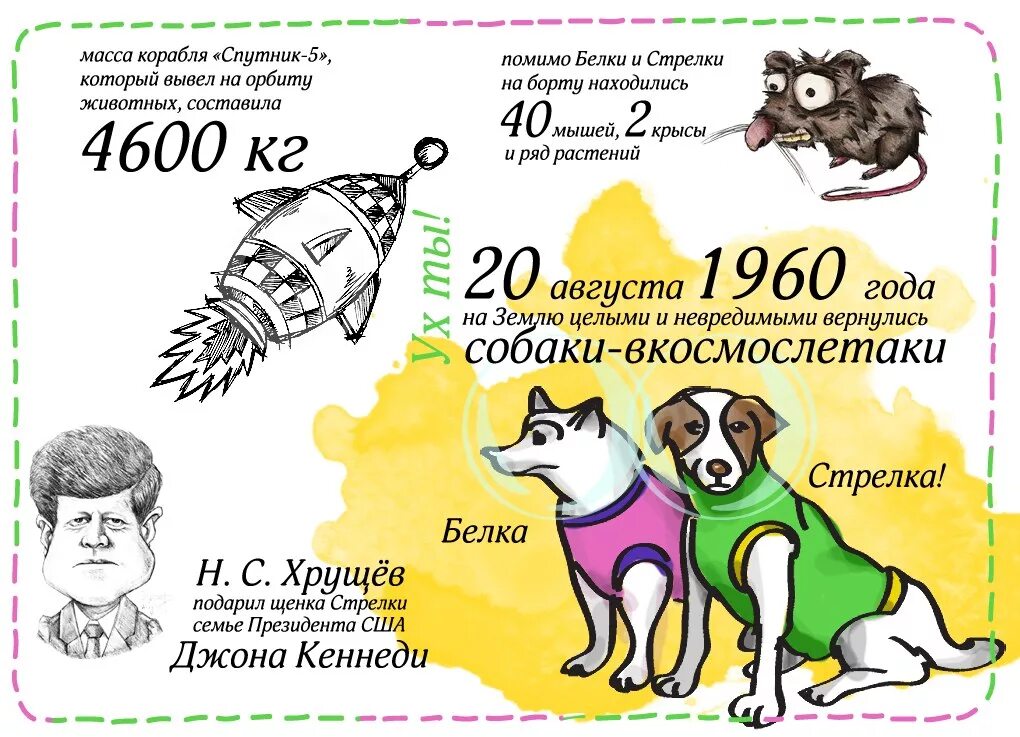 Белка и стрелка рисунок для детей. Белка и стрелка инфографика. Белка и стрелка задания. Инфографика космос белка и стрелка. Белка и стрелка задания для детей.