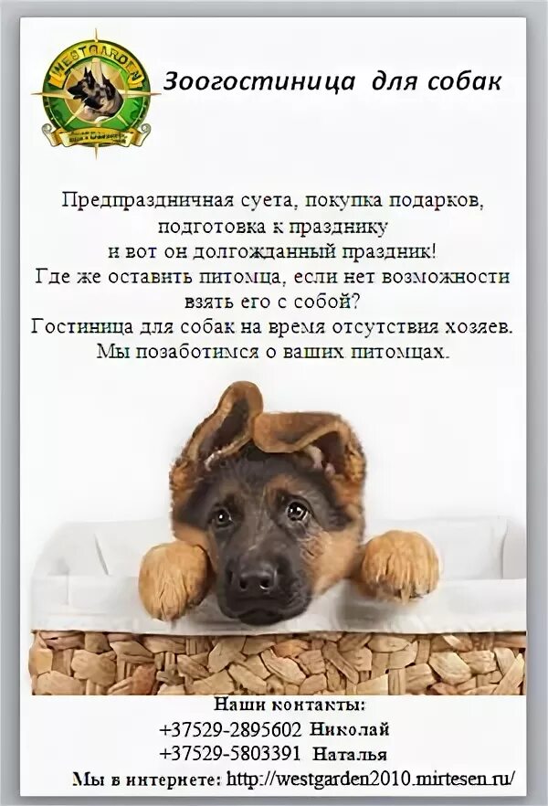 Оставить собаку на 3 дня