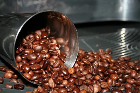 Raw coffee
