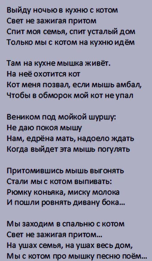 Песня она ночью на кухне скинет. Только мы с котом на кухню идем. Только мы с котом на кухню. Выйду ночью в кухню с котом текст. Выйду ночью в кухню.