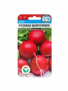 Редис сибири