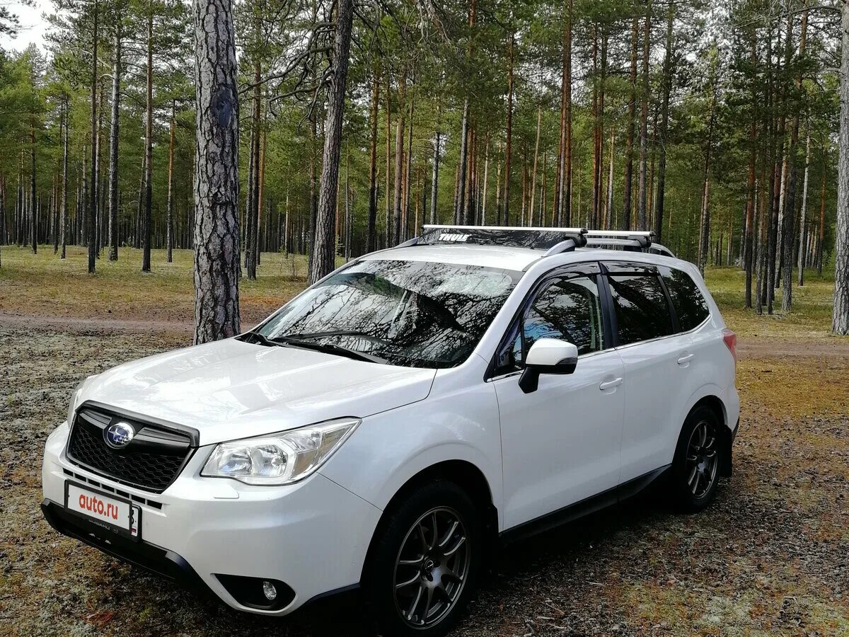 Субару Форестер 2014. Субару Форестер 2014г. Subaru Forester 2014 белый. Subaru Forester 2014 2.5. Купить субару форестер 2014 года