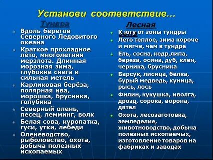 Установи соответствия тундра