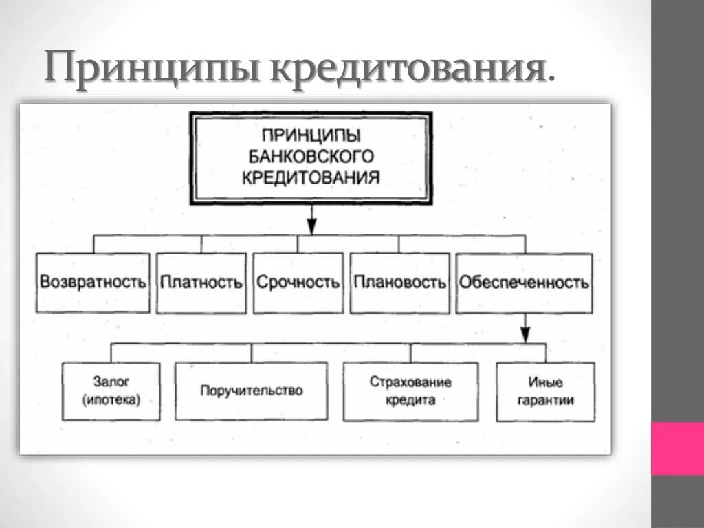 Экономика условия кредита. Основные принципы кредитования схема. Принципы кредитования кратко в экономике. Основные принципы банковского кредитования. Принцип платности кредитования.