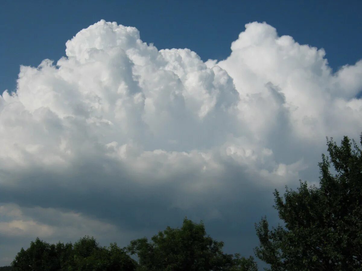 Как выглядит облако. Башенкообразные Кучевые облака. Облака Кучевые перистые Слоистые. Высокослоистые облака. Слоистые облака фото.