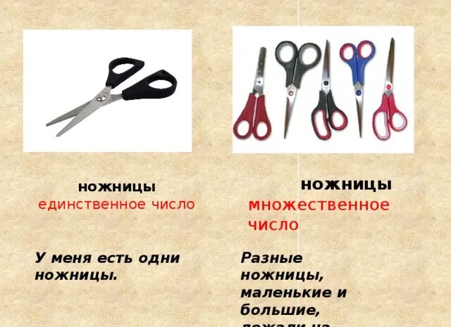 Слово ножницы изменяется по числам. Единственное и множественное число имен существительных. Санки тетрадь солнце ножницы. Изменение существительных по падежам и числам. Изменение существительных по падежам и числам.