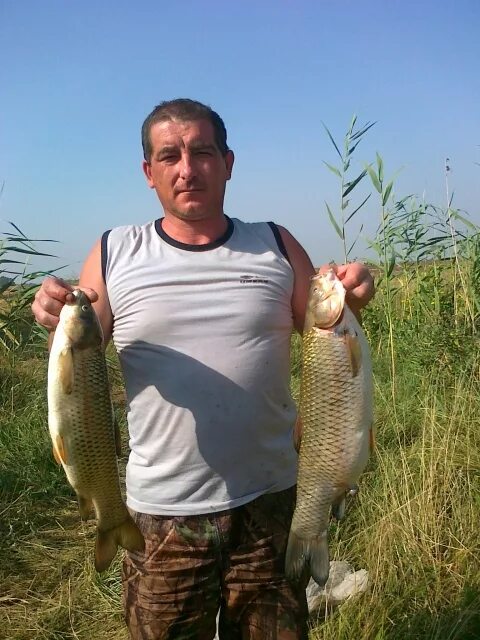 Улов на дону. Рыбалка на пруду. Рыбаки на дону. Рыбалка в ростове. Улов речной рыбы.