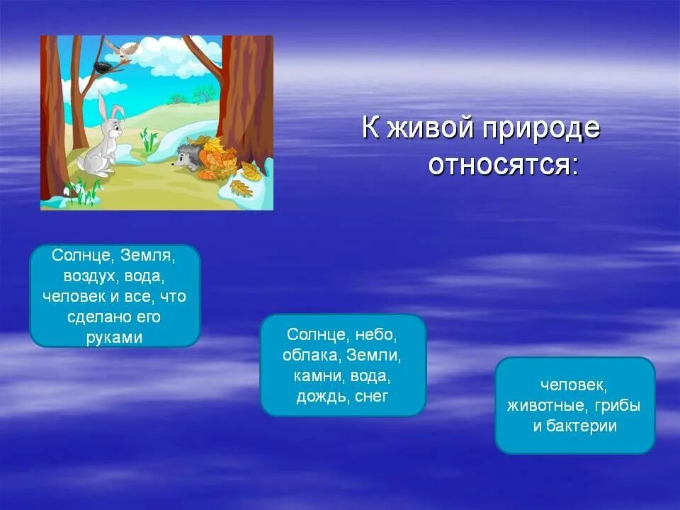 Что относится к природе 2 класс. Что относится к живой природе. Солнце относится к живой природе. К неживой природе относят воду. Солнце и вода относится к живой природе.