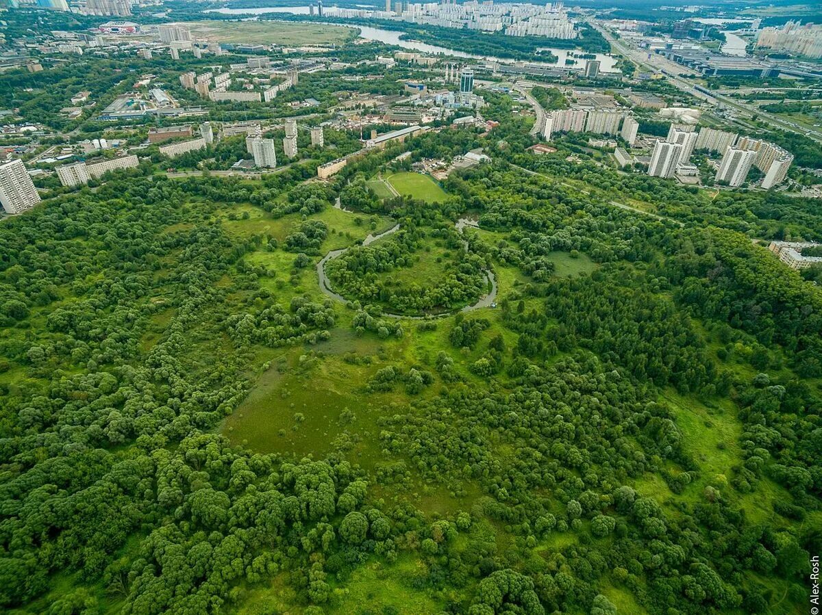 Зеленая зона земля. Северное Тушино Сходненский ковш. Сходненский ковш памятник природы. Сходненский ковш Южном Тушино. Памятник природы Сходненская чаша Химки.