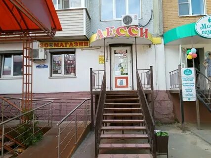Лесси калуга