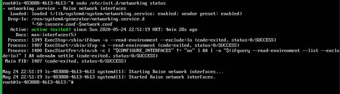 Raise network interfaces. Raise network interfaces
