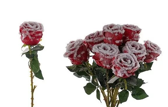 Заснеженные цветы искусственные. Розы на снегу. Сколько стоят живые розы