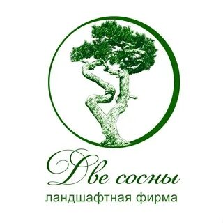 Сосны 2 10