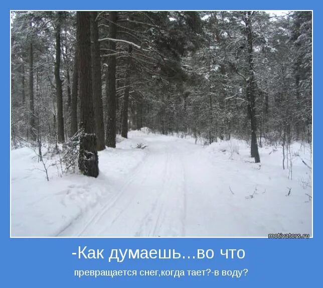 Когда снег полностью растает в 2024. Во что превратится снег когда растает. Снег превращается в воду. Во что превращается снег когда тает. Когда снег растает во что он превратится.