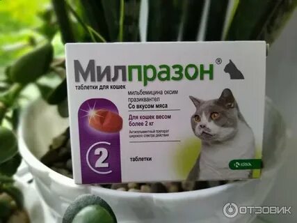 Таблетки от глистов кошкам со вкусом мяса