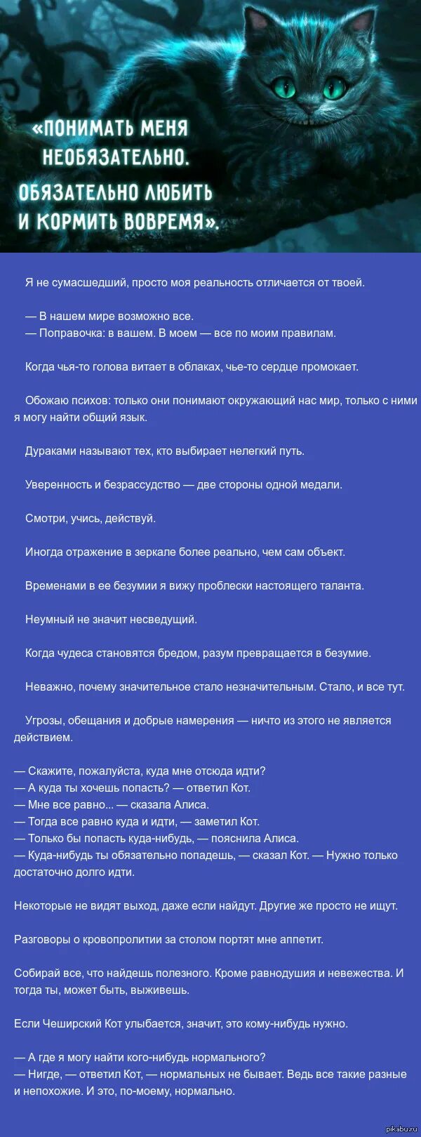 Нигде ответил кот нормальных не бывает. Слова чеширского кота. чеширский кот цитаты. высказывания чеширского кота. цитаты из чеширского кота.