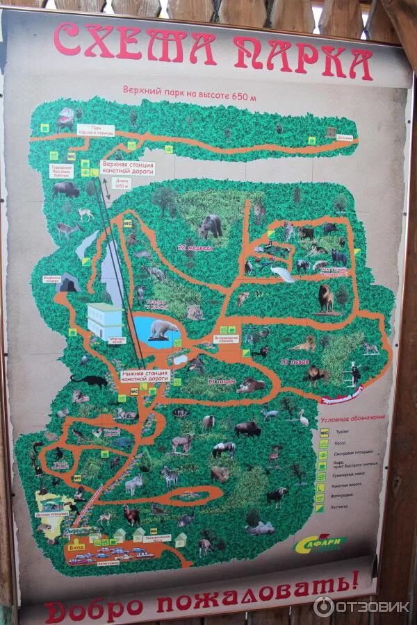 План парка с животными. Сафари-парк краснодар карта зоопарка. Карта сафари парка в краснодаре. Animal wild park шанхай. Схема сафари.