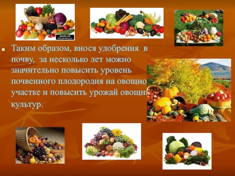 Образ вносить. Осенний учёт урожая овощных культур. Зачемнужно веосить в почву удобрение.