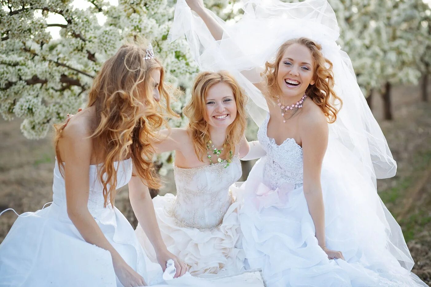 Невесты. Невесты в свадебных платьях. Девушка в свадебном платье. Три невесты.